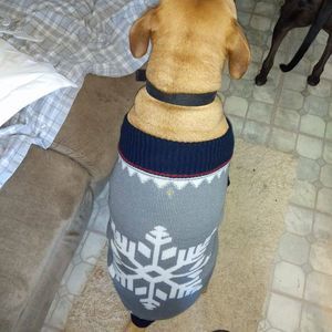 Meet your Posher, Johnnystephanie